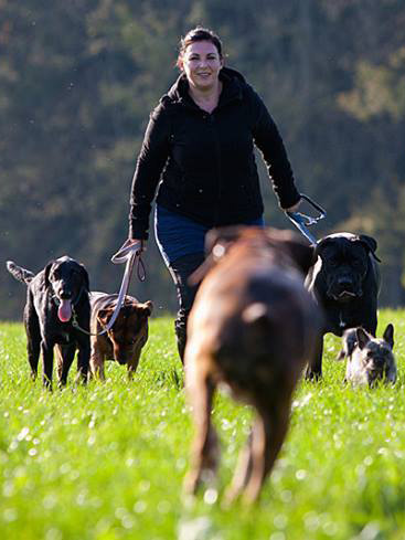 Das Rudel von der Hundespezialistin selber